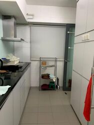 Blk 1C The Pinnacle@Duxton (Bukit Merah), HDB 4 Rooms #568896141